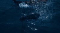 bilder/galerie/odyssey/AssassinsCreedOdyssey_ (21).jpeg